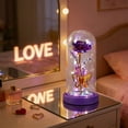 thumbnail image 6 of AYktou Valentine's Day Rose & Butterflys Desktop Ornaments, Birthday Gift L Light Artificial Rose with Glass Cover Glowing Rose Night Light Gift Preserved Flower for Her & Wife Grandma Mom, 6 of 6