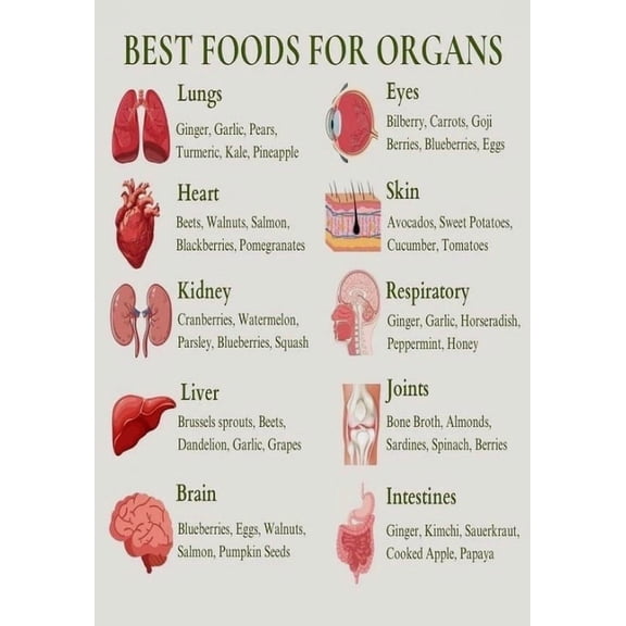 Healthy Eating Guide Best Foods For Organs Poster Suitable For Home Kitchen Living Room Diningroom Office Decor poster