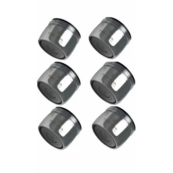 Niagara Conservation - N3205N-Pc-Tu 0.5 Gpm Dual Thread, 6/Pk, Faucet Aerators