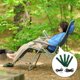 thumbnail image 1 of BESTYASH 9Ud Elásticas Para Reparación De Sillas De Jardín Y Muebles Con Protección Humedad, 1 of 7