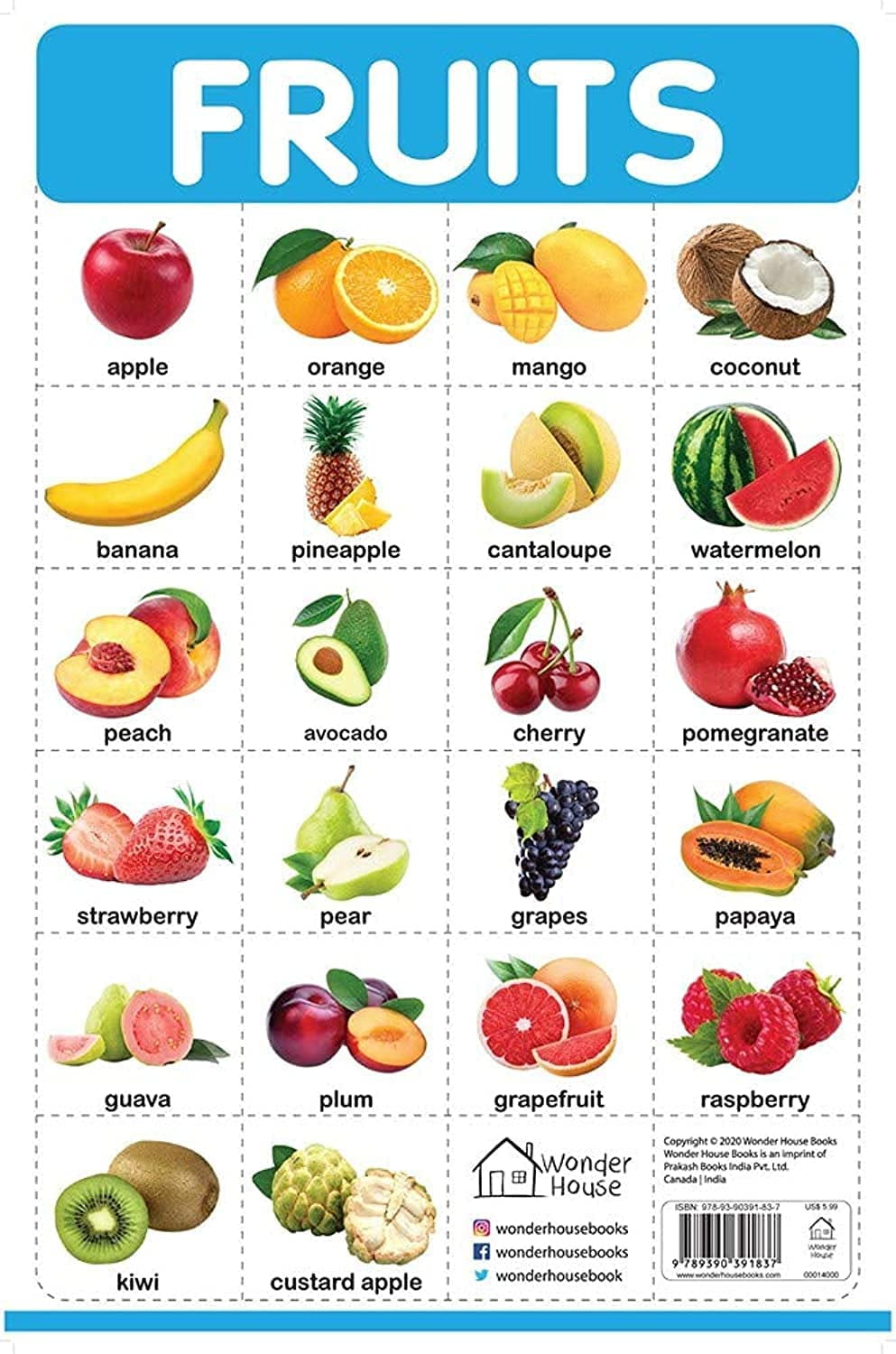 Fruits - My First Early Learning Wall Chart: For Preschool ...