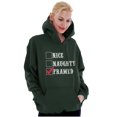 thumbnail image 3 of Xmas Naughty Nice Framed Checklist Hoodie Sweatshirt Women Men Brisco Brands 2X, 3 of 6