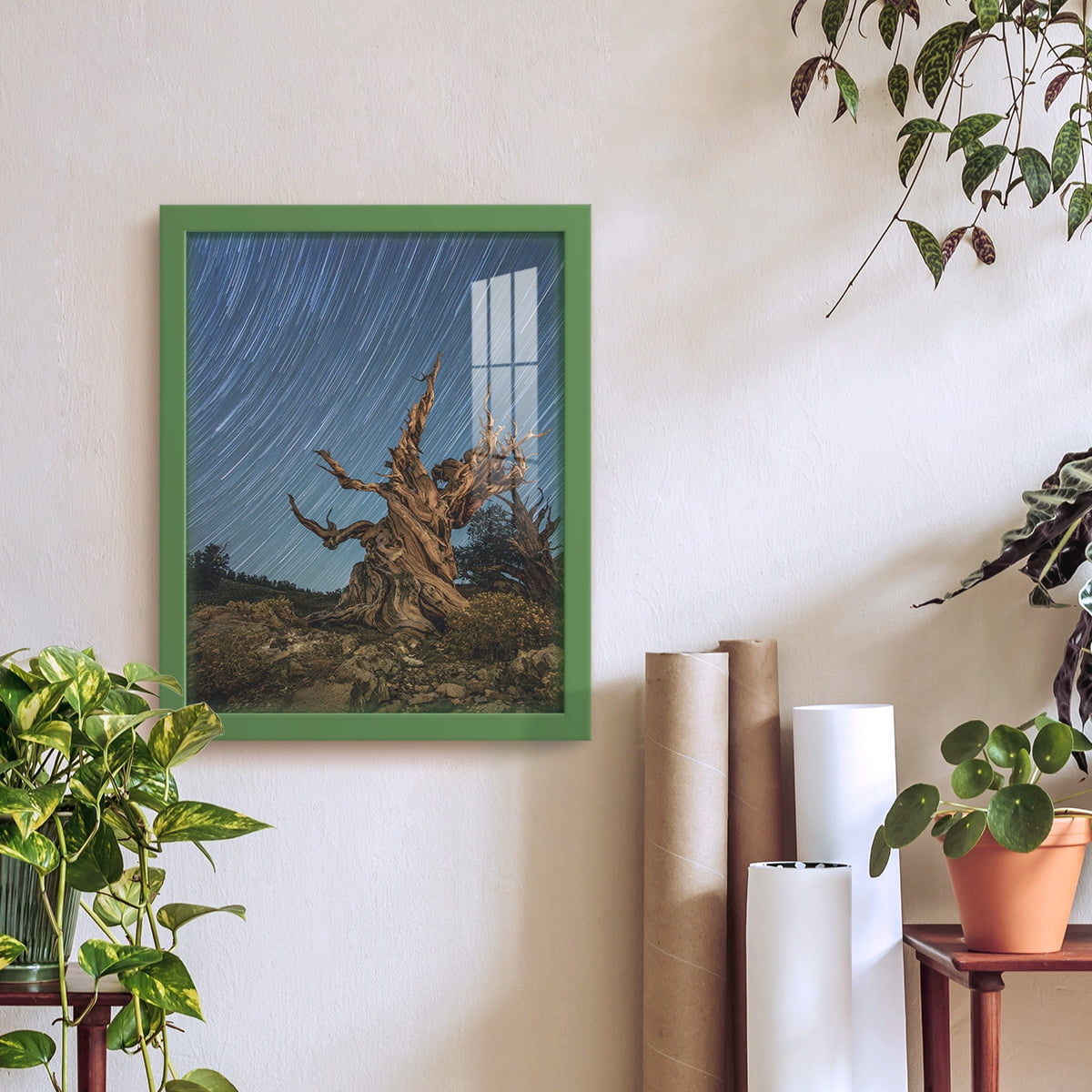 Modern 11 in. x 14 in. Green Picture Frame (Set of 4)