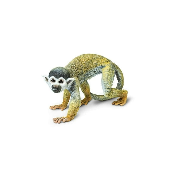 Safari Ltd. Squirrel Monkey Figurine - Lifelike 5.75" Model Figure - Educational Toy for Boys, Girls, and Kids Ages 3 