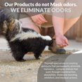 thumbnail image 5 of Skunk Off Shampooing pour Animaux – Éliminateur d'Odeurs de Moufette Prêt à l'Emploi pour Chiens, Chats, Maison, Tapis, Voiture et Plus – Shampooing Non Enzymatique pour Moufettes Chiens – Éliminateur d'Odeurs pour Animaux contre les Odeurs de Moufette (8 oz), 5 of 5
