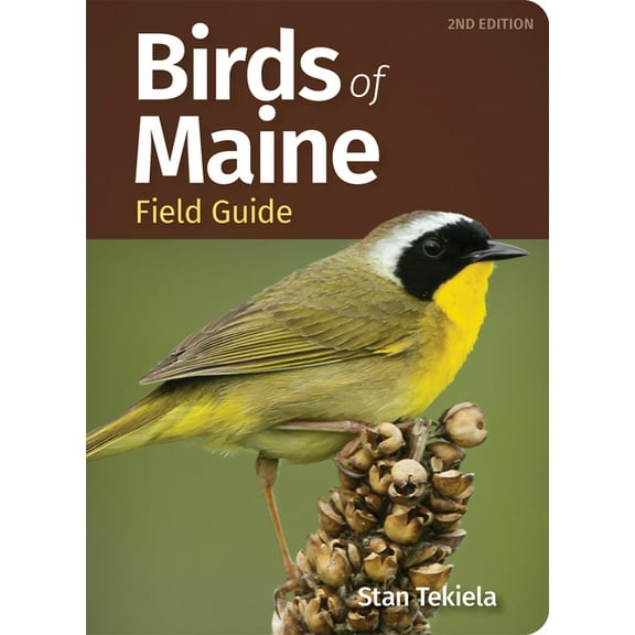 Bird Identification Guides Birds of Maine Field Guide, (Paperback)