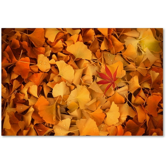 Trademark Fine Art "Variegated" Canvas Art by Philippe Sainte-Laudy