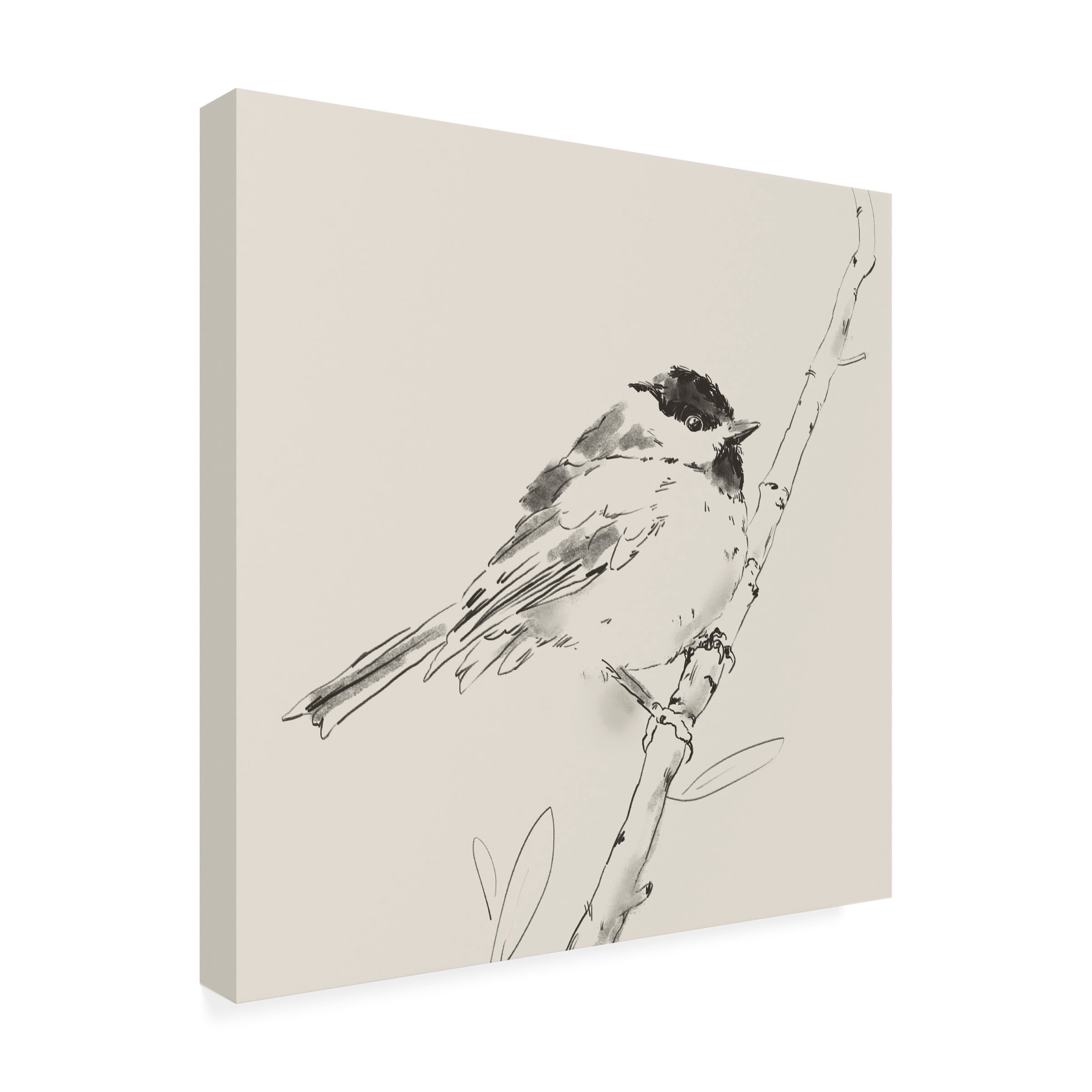 Jacob Green 'Black Capped Chickadee I' Canvas Art
