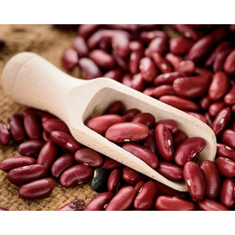 24 oz Gourmet Dark Red Kidney Beans - 21st Century Bean