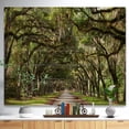 thumbnail image 2 of Design Art - Live Oak Tunnel, 2 of 5