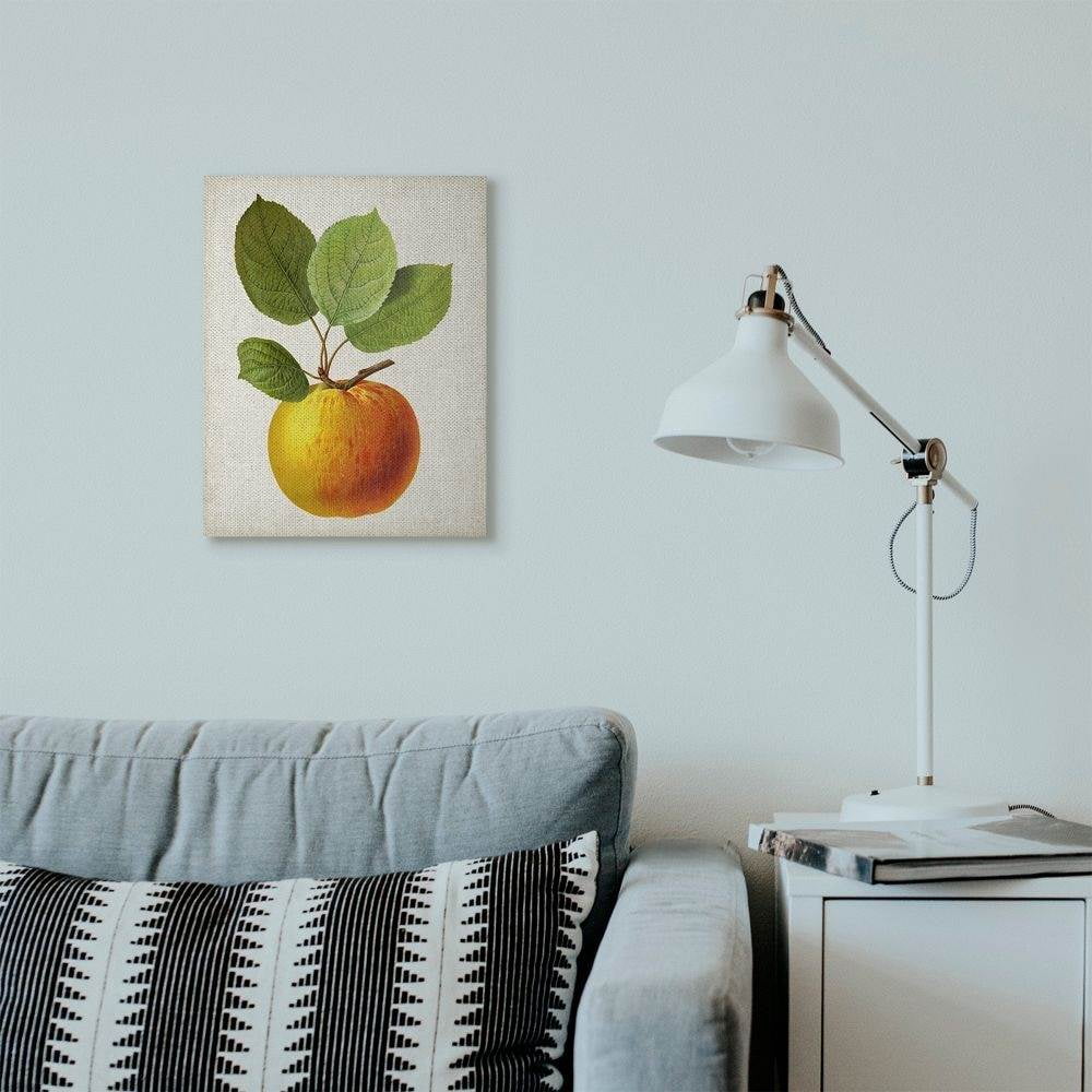 Stupell Industries Vintage Fruit Apple Painting Canvas Wall Art by Vision Studio