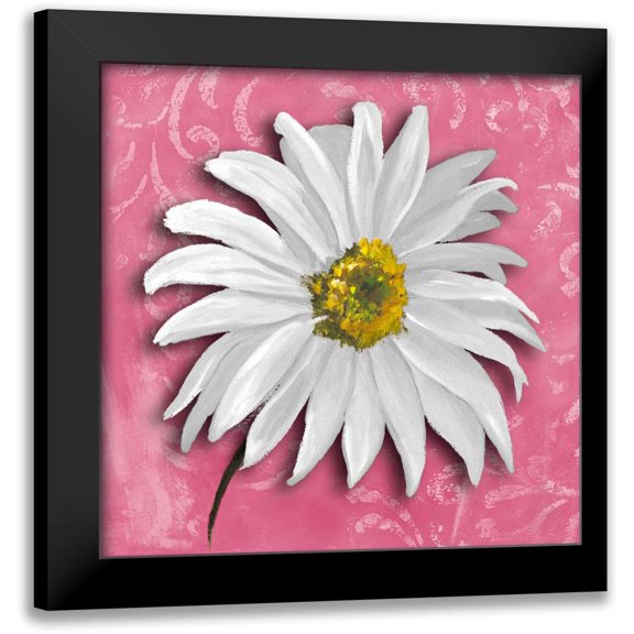 Pinto, Patricia 12x12 Black Modern Framed Museum Art Print Titled - Blooming Daisy III