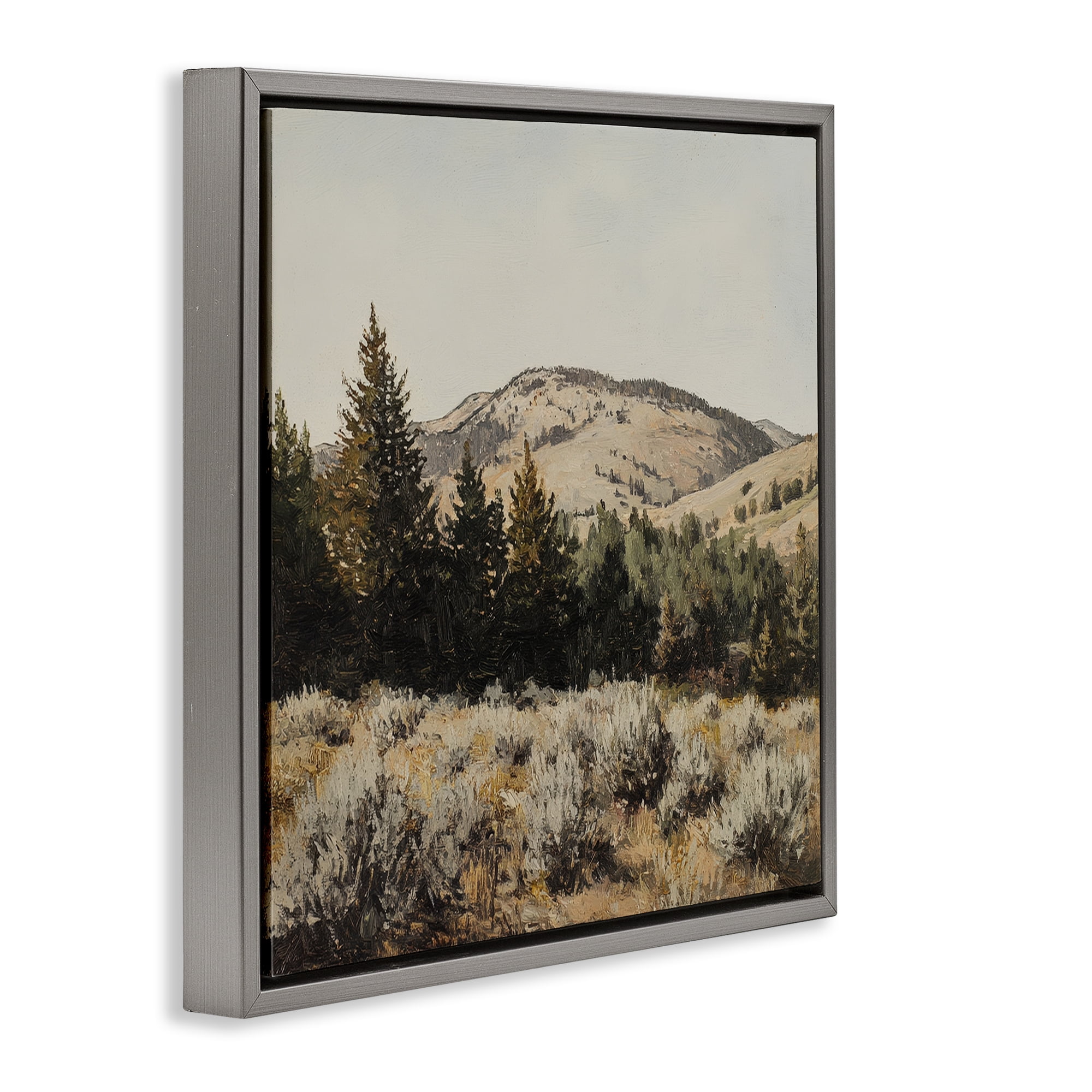Stupell Industries Cedar Mountain View Gray Framed Floater Canvas Wall Art, design by Petal Prints Design