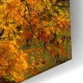 thumbnail image 3 of Epic Art 'Portland Japanese Garden' by Mike Jones, Acrylic Glass Wall Art, 16"x12", 3 of 8