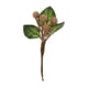 thumbnail image 2 of 10 Piezas Shabby Chic Artificial Flores Secas Naturales Para Decoración DIY Artesanías De Decoración De Pared, 2 of 9