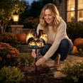 thumbnail image 6 of 2026 New Solar Garden Stakes, Fantasy Gothic Resin Outdoor Decor Light, Spooky Glowing Ornament for Halloween Garden and Patio Display (Wings Spreading), 6 of 6