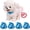 B, variant on A Realistic Interactive Robot Dog Toy With Walking Touch Sensing Voice Mimic Lifelike Sounds And Motion Battery Powered Includes 4 Foot Covers 1Pc 0.77 Pounds