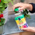 thumbnail image 4 of Miracle-Gro Shake N Feed engrais pour plantes tout usage 12-4-8, 4 of 6