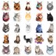 thumbnail image 4 of Pegatinas de vinilo Maine Coon con diseño de grafiti, resistentes al agua, 50 unidades, 4 of 5
