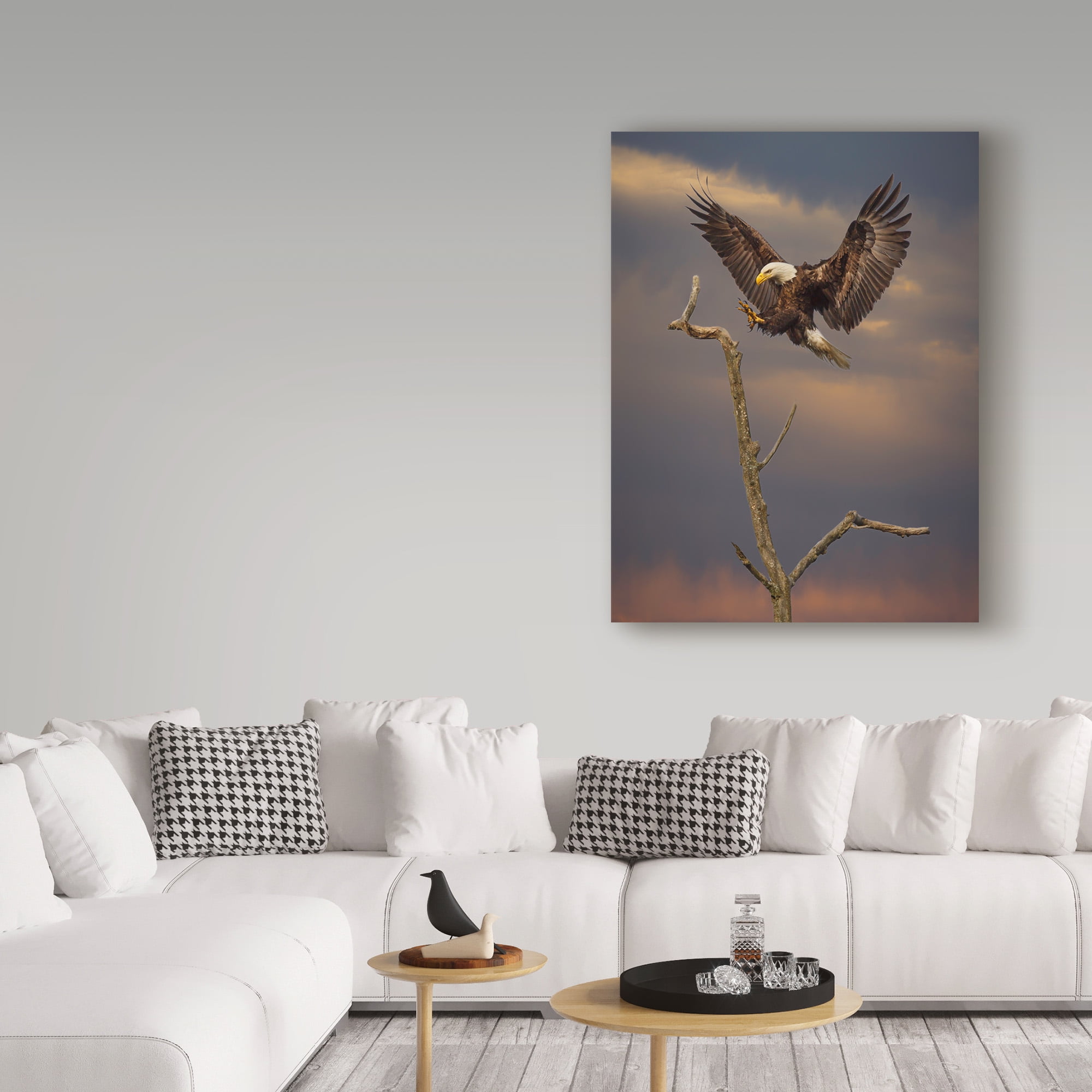 Trademark Fine Art 'Eagle Landing On Branch' Canvas Art by Galloimages Online