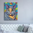 thumbnail image 5 of Epic Graffiti 'Dilute Tortoiseshell Cat' by Rebecca Wang Art, Canvas Wall Art, 40"x54", 5 of 8