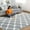 Gray/White, variant on TWINNIS 4'x6' Geometric Area Rug for Living Room Fluffy Carpet ,Non Slip Rug for Girls Teen Bedside Nursery Dorm,Black/White