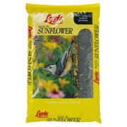 Black Oil Sunflower Seed Black Oil Sunflower Seed