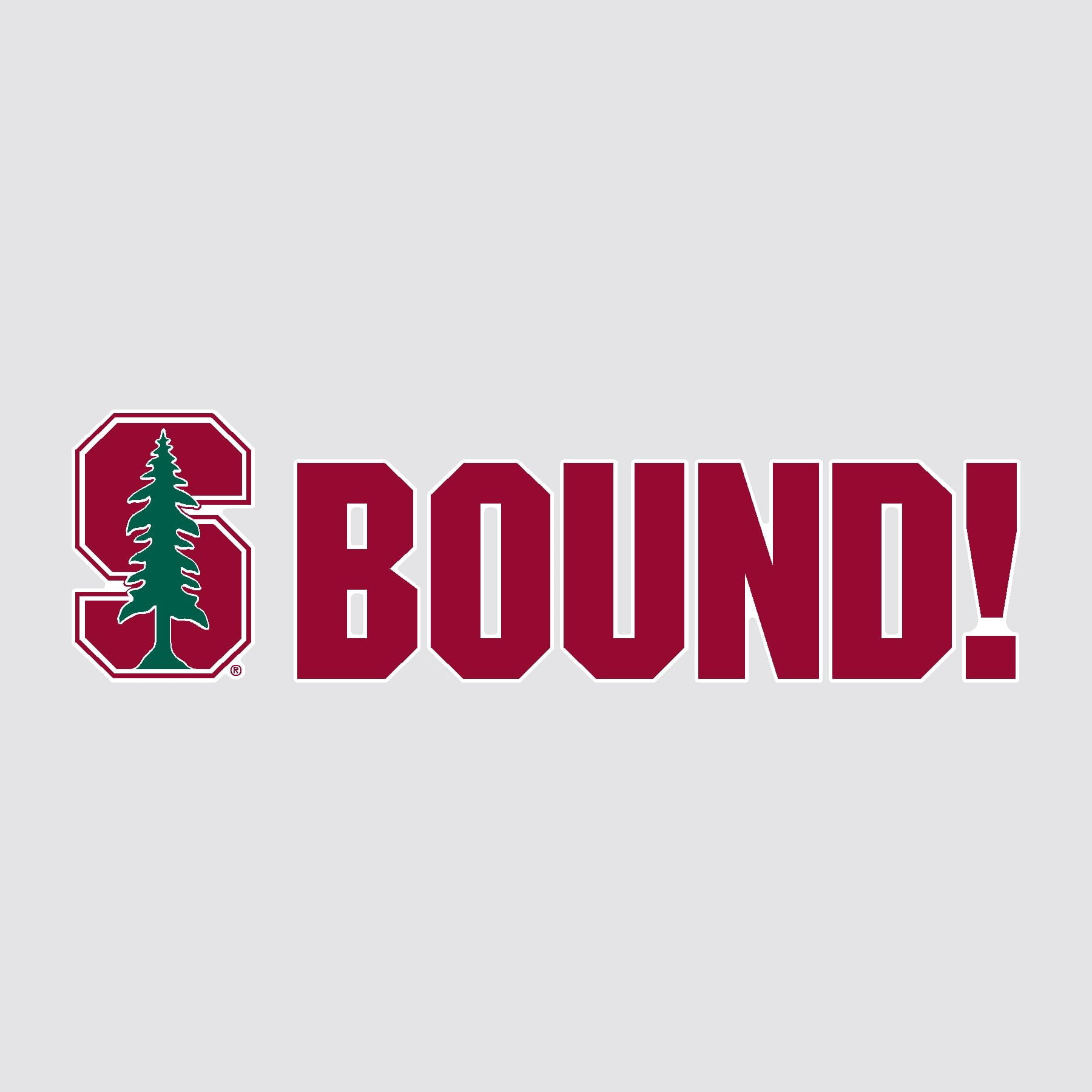 Stanford University BOUND Mascot Yard Sign Set