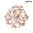 thumbnail image 4 of FELTECHELECTR 500 piezas de conchas pequeñas para decoración del hogar, conchas marinas naturales, artesanías para pecera, acuario, boutique., 4 of 5