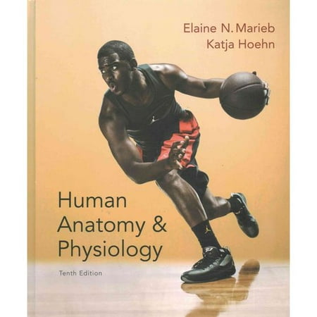 Human Anatomy & Physiology 10th Ed. + MasteringA With Pearson Etext 10th Ed. + Laboratory Investigations in Human Anatomy & Physiology 2nd Ed. Main Version + Interactive Physiology 10-system Suite CD-ROM -  10th Edition