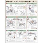 Strength Training for the Chest (Other)