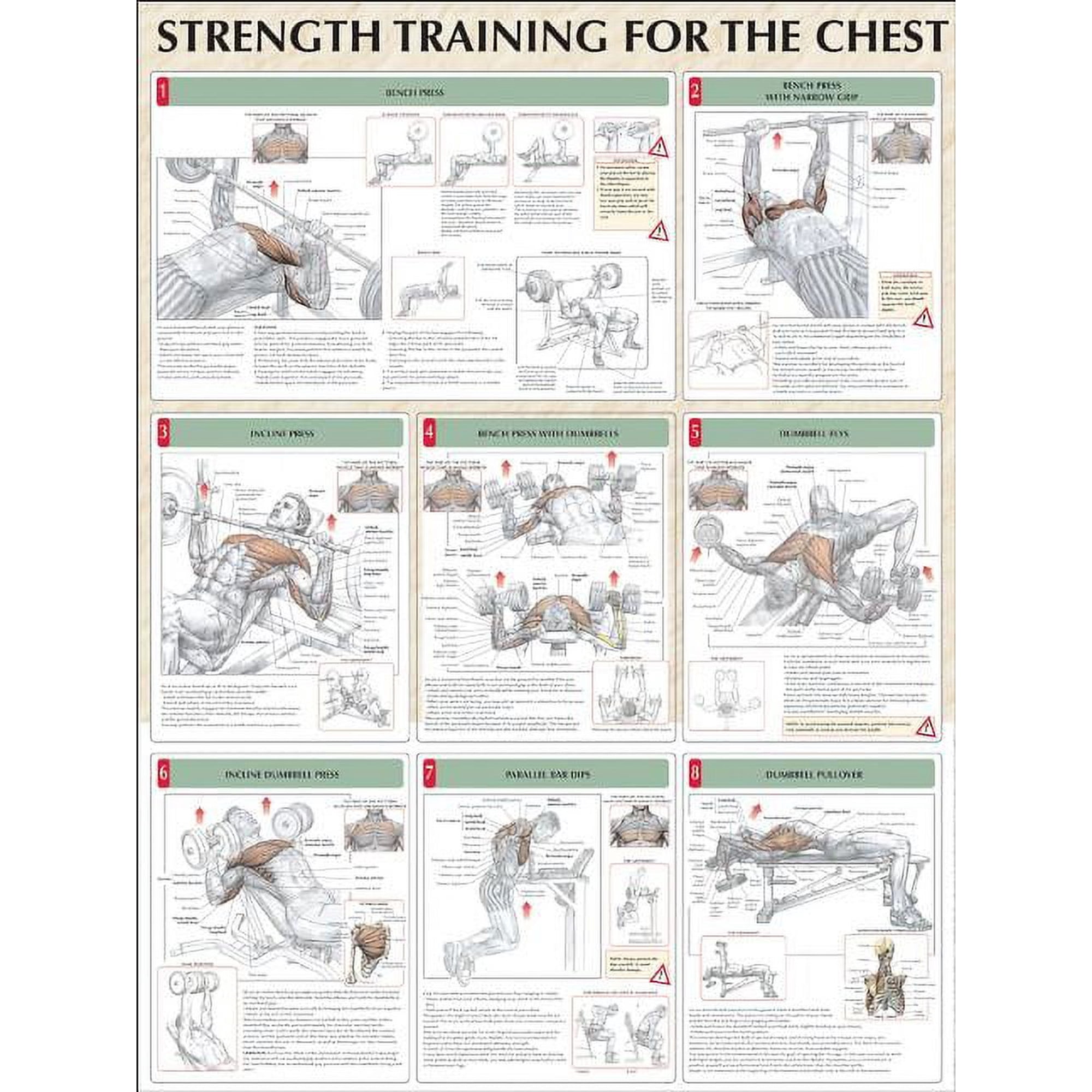 Strength Training for the Chest (Other)