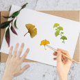 thumbnail image 4 of Sellos transparentes de silicona reutilizables con diseño de hojas de ginkgo, primavera y otoño., 4 of 9