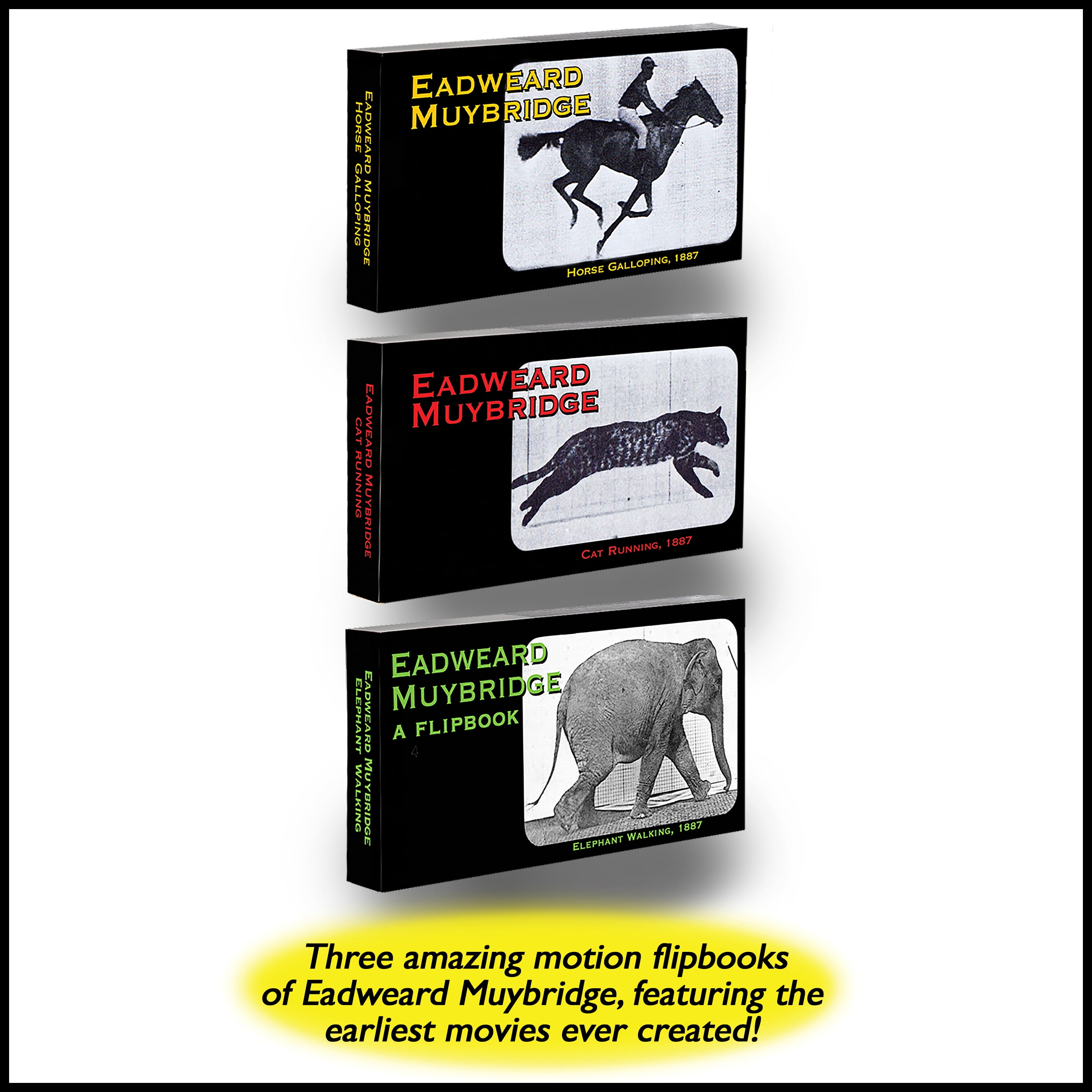 Fliptomania Muybridge Horse Galloping Flipbook - Animated Motion Picture In Your Hands