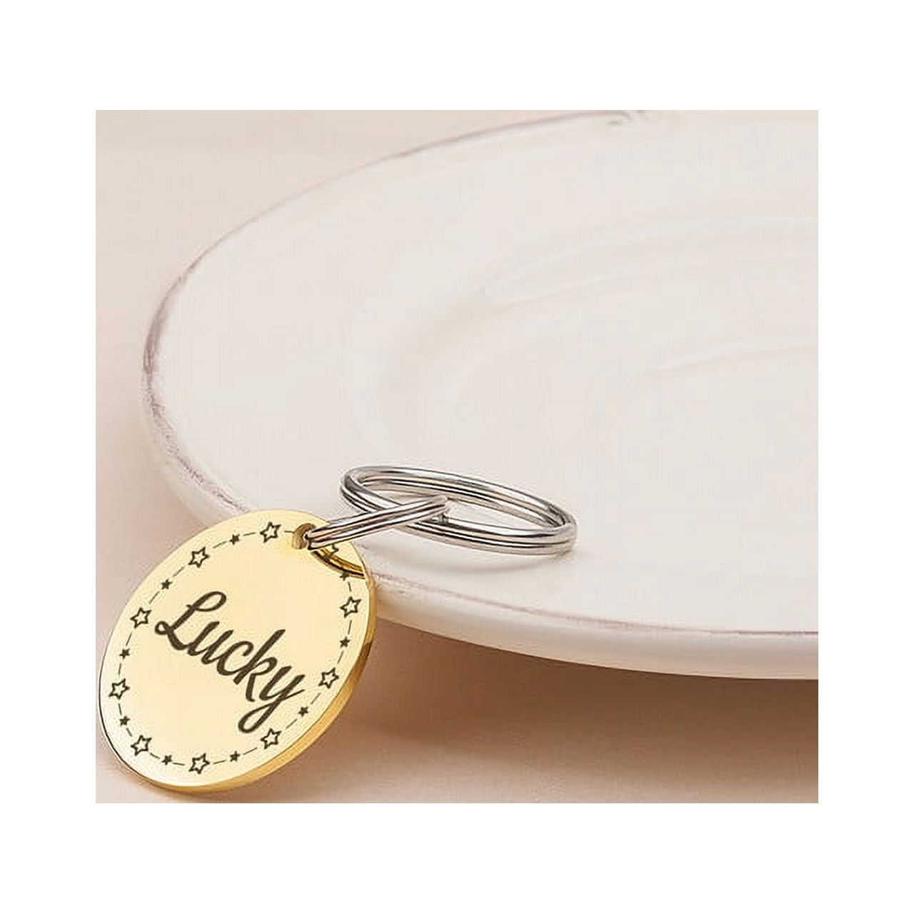 Anavia Stainless Steel Double Sided Round Name and Frame Engraved Dog & Cat ID Tag, Multi-color, L