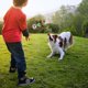 thumbnail image 5 of Plush Dog Toys Interactive Dog Puzzle Toys Cute Sloth Teething Chew Squeaky Dog Toys for Small Medium Large Dogs, 5 of 5