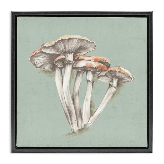 Stupell Industries Mushroom Bundle Drawing Plants & Flowers Painting Black Floater Framed Canvas Art Print Wall Art, 18 x 18