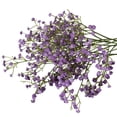 thumbnail image 3 of Lekihaqq Hair Clips Plastic Artificial Flowers Baby'S Breath Hair Accessories For Wedding Photography White Blue Purple Pink Yellow Decorative, 3 of 7