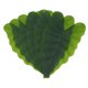 thumbnail image 5 of BESTYASH 6Ud Manteles De Hojas Artificiales Para Fiesta Hawaiana Y De, 5 of 8