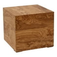 thumbnail image 2 of MOE'S Home NASH SIDE TABLE HONEY BROWN BURL, 2 of 5