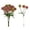 Magenta, variant on Dandelion Bouquet for Indoor Elegant Wedding Style 5 Piece Courtyard Door Display 5PCS,9.85 in,Green grass