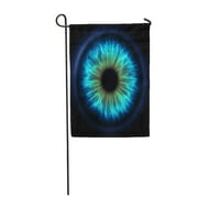 NUDECOR Blue Iris Digital Eye Pupil Human Psychic Abstract Doctor Retina Optician Garden Flag Drapeau décoratif House Banner 12x18 inch
