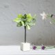 thumbnail image 5 of Casa de muñecas CUTICAT miniatura 1:12 decoración bonsai juguetes, 5 of 8