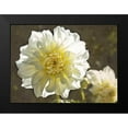 thumbnail image 2 of Johnson, George 24x19 Black Modern Framed Museum Art Print Titled - Kaleidoscope Dahlia, 2 of 5