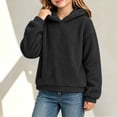thumbnail image 4 of Mitankcoo Girls Teddy Fleece Hoodie Kids Cute 3D Bear Ear Hooded Pullover Sweatshirt with Pockets for Fall Winter 4-15Y, 4 of 8