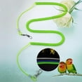 thumbnail image 2 of Visland Parrot Bird Leash Flying Training Rope Straps Parrot Cockatiels Starling Budgie, 2 of 6