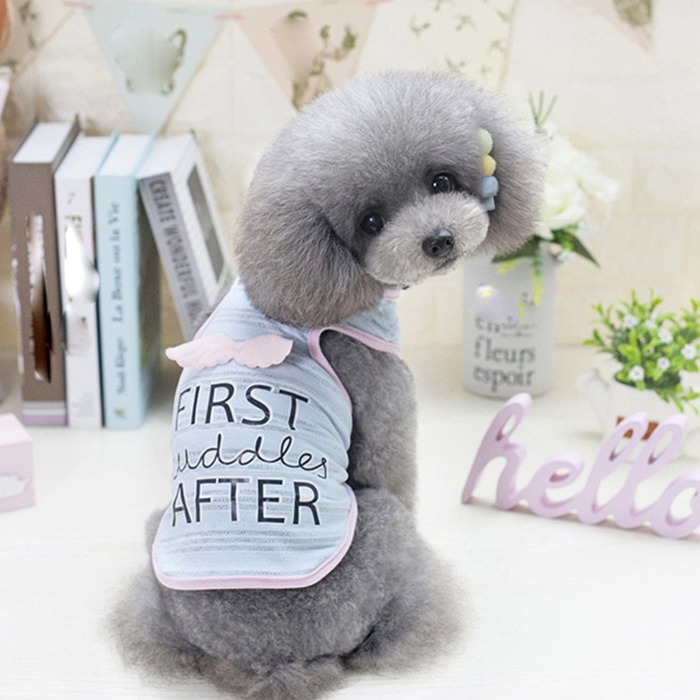 cheap dog jackets