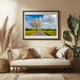 thumbnail image 3 of Lonely Tree, Spring Grove - Pennsylvania Photography Black Framed Wall Art Print 12 x 18 inches, 3 of 4