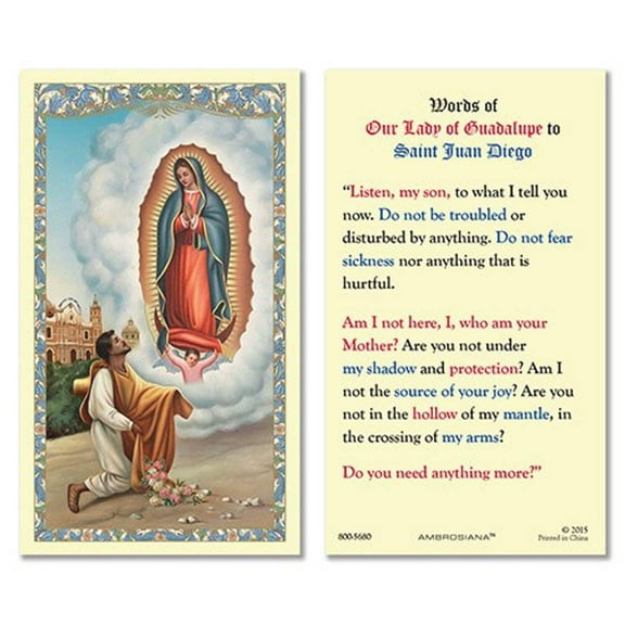 Saint Juan Diego Laminated Holy Card - 25/pk