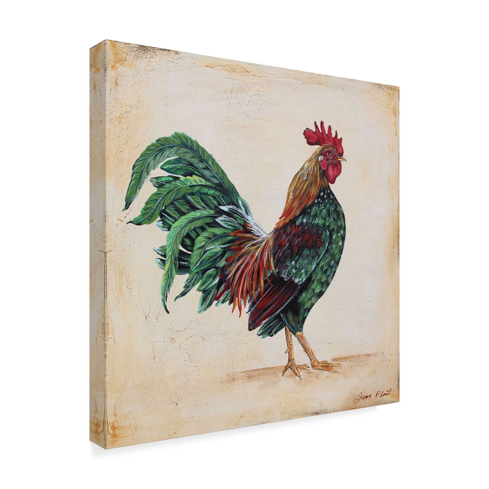 Trademark Fine Art 'Rooster 7' Canvas Art by Jean Plout
